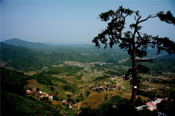 土壤水分速測儀在連翹種植中效果如何？