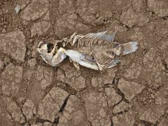 安裝土壤墑情自動監(jiān)測系統(tǒng)的意義在哪里？