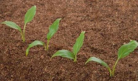 物聯(lián)網(wǎng)技術(shù)在土壤墑情監(jiān)測(cè)系統(tǒng)中的應(yīng)用 物聯(lián)網(wǎng)技術(shù)在土壤墑情監(jiān)測(cè)系統(tǒng)中的應(yīng)用