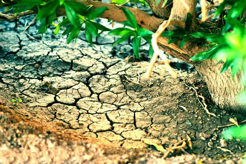 土壤墑情監(jiān)測系統(tǒng)引領(lǐng)墑情信息化監(jiān)測管理 土壤墑情監(jiān)測系統(tǒng)引領(lǐng)墑情信息化監(jiān)測管理