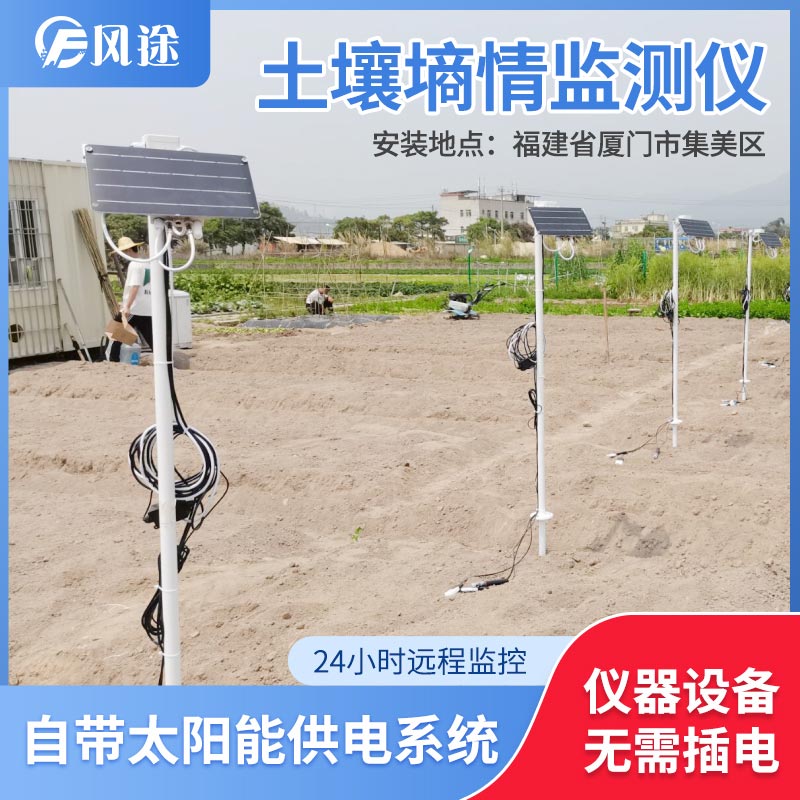 土壤水分實時監(jiān)測設備是如何在菠蘿園發(fā)揮作用的？